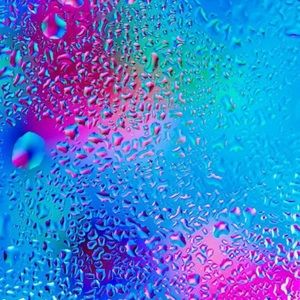 Meet your Posher, Jitty